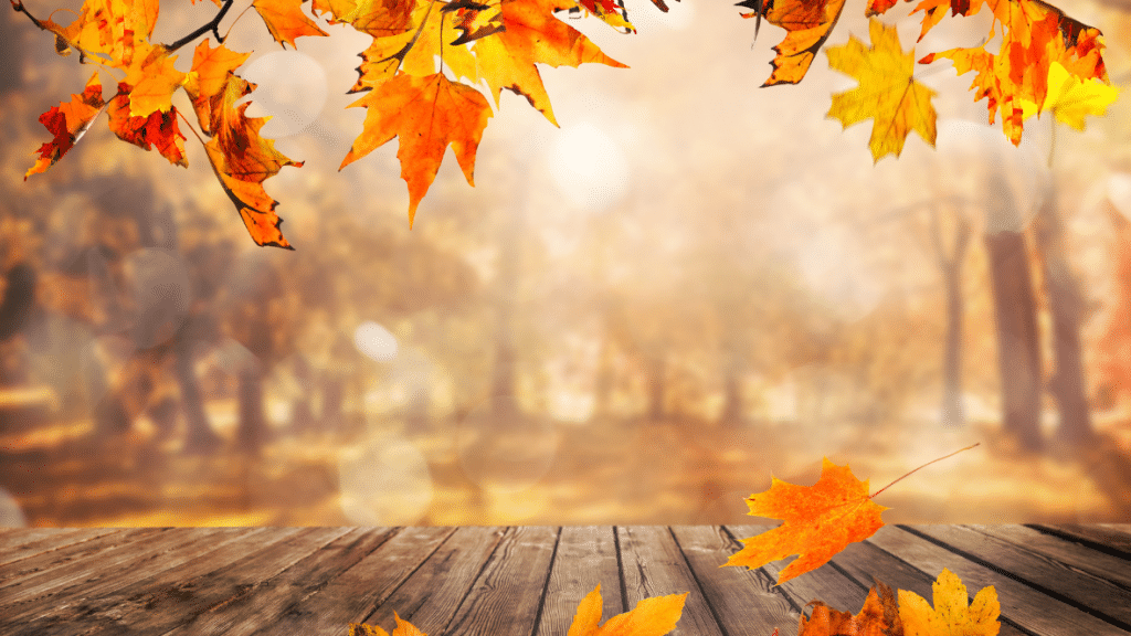 Herfsttype